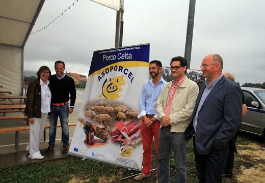 A Xunta destina este ano un total de 241.000 euros ás axudas para o fomento das razas autóctonas gandeiras galegas